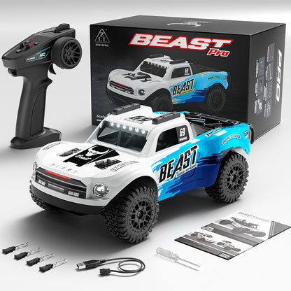 1:24 2.4G 4WD Full Scale RC Carbon Brush High-Speed Remote Control Rally Car