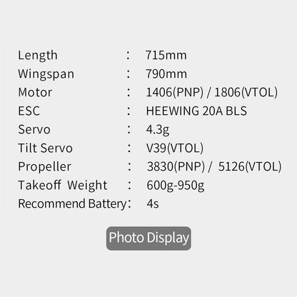 HEEWING Ranger T1-S VTOL 2.4G RC EPP Fixed Wing Aircraft