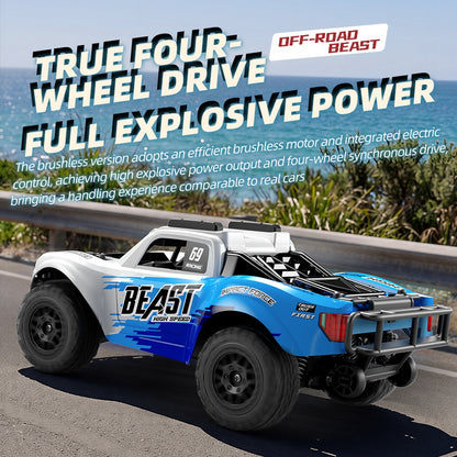1:24 2.4G 4WD Full Scale RC Carbon Brush High-Speed Remote Control Rally Car